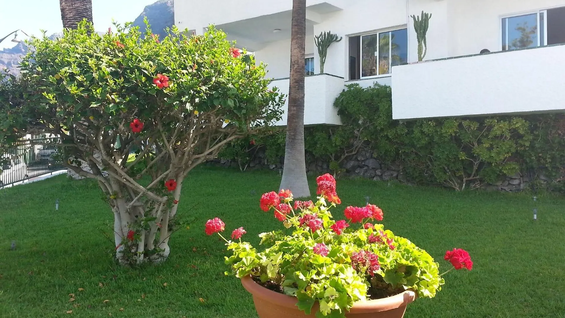 Apartment In Santa Cruz De Tenerife With Pool Acantilado de los Gigantes Spain