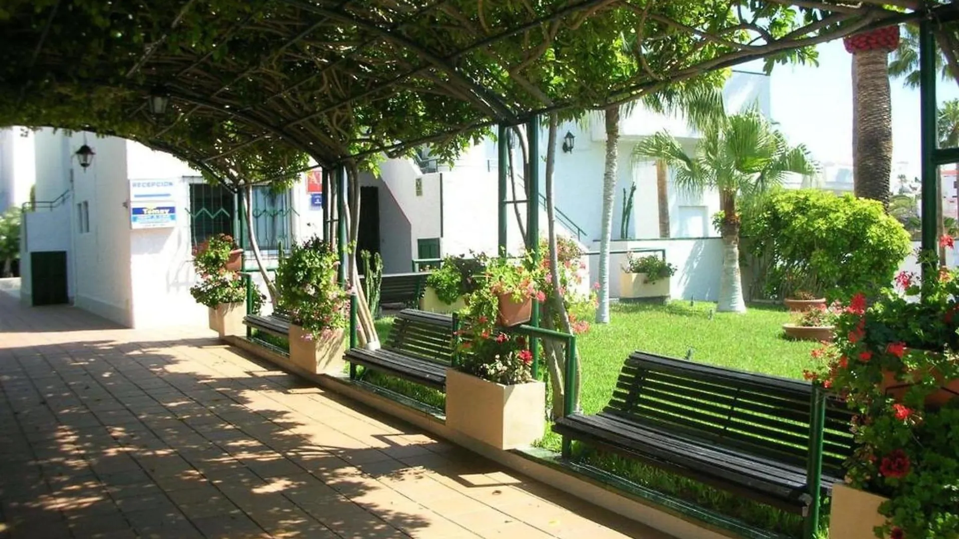 Apartment In Santa Cruz De Tenerife With Pool Acantilado de los Gigantes
